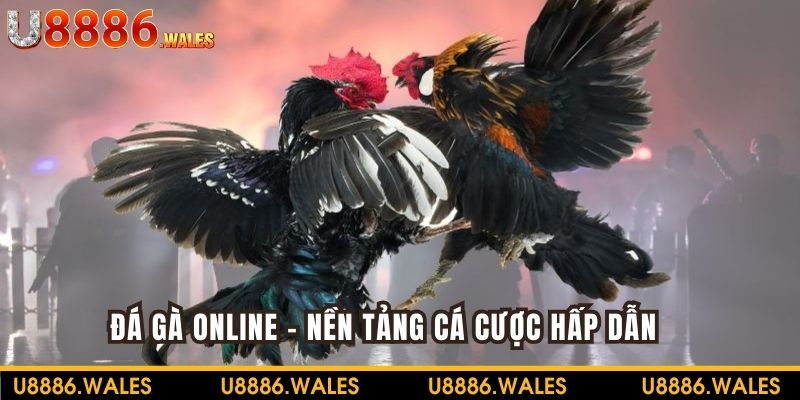 Đá Gà Online - Lĩnh Vực Cá Cược Xanh Chín Đầy Hấp Dẫn