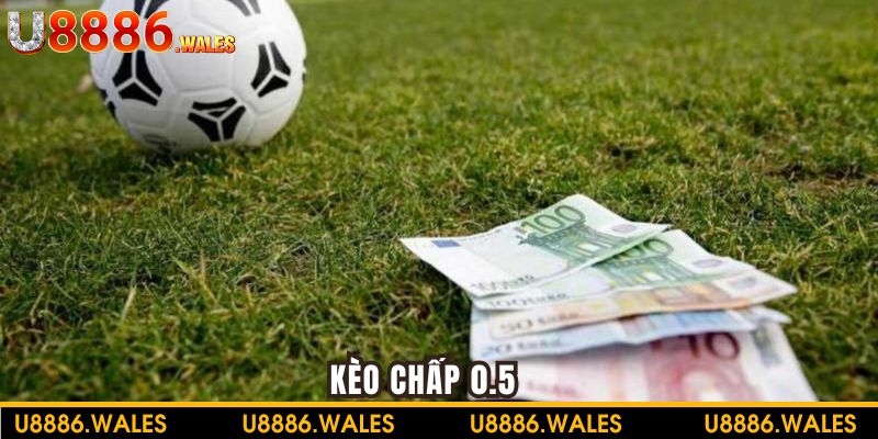 Tham khảo cách đọc kèo chấp 0.5 chính xác cho người chơi mới