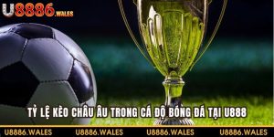 Cá Cược Kèo Tài Xỉu - Cách Đọc Và Kinh Nghiệm Cùng U888