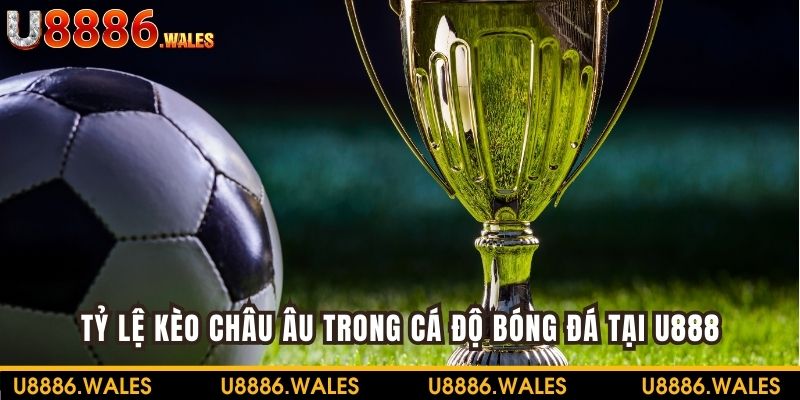 Cá Cược Kèo Tài Xỉu - Cách Đọc Và Kinh Nghiệm Cùng U888