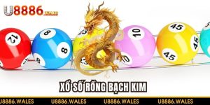 Xổ số Rồng Bạch Kim - Hướng dẫn từng bước dành cho người mới