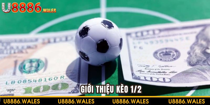 Giới thiệu kèo 1/ 2