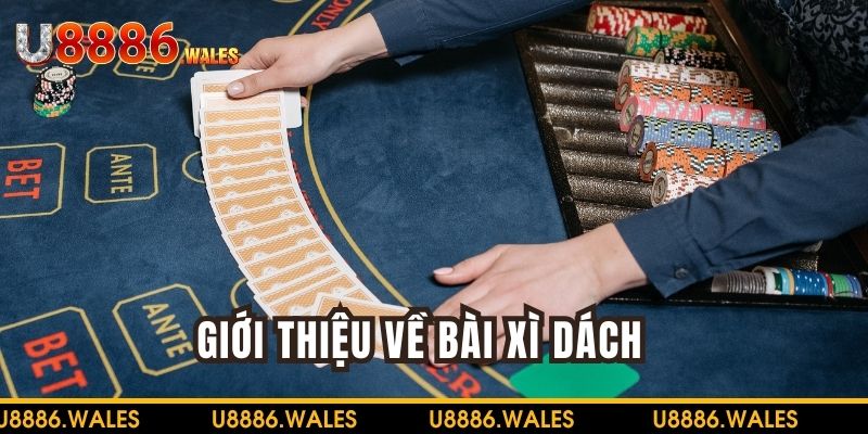 Tổng quan về game bài xì dách