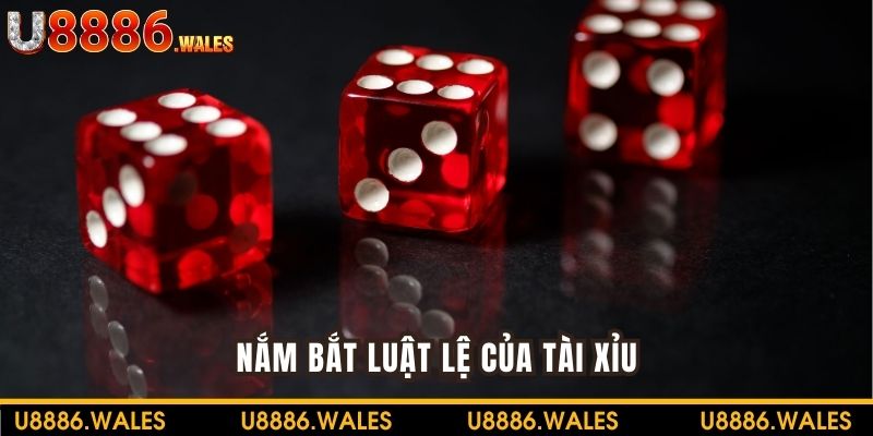 Nắm bắt luật lệ giúp bạn áp dụng mẹo chơi tài xỉu hiệu quả