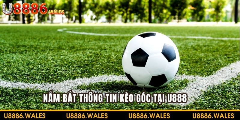 Nắm bắt thông tin về kèo góc tại nhà cái U888