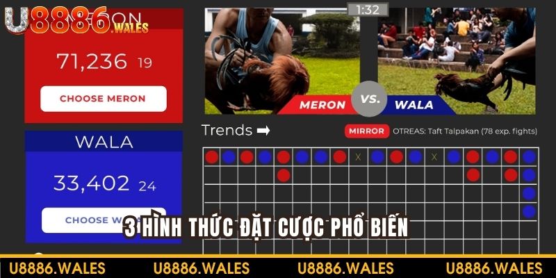 Cá cược theo 3 hình thức được nhà cái cung cấp