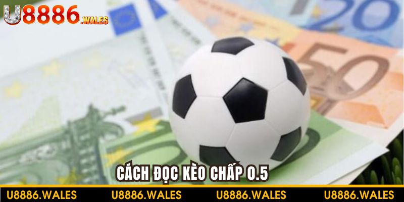 Giới thiệu chi tiết cách đọc kèo nửa trái