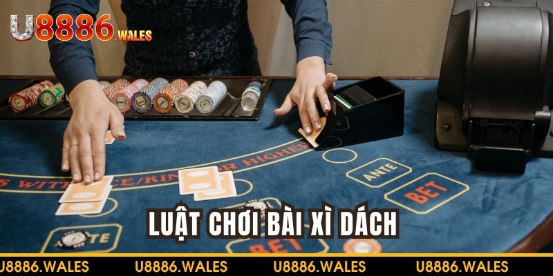 Luật chơi cơ bản về game bài xì dách