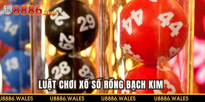 Luật chơi xổ số Rồng Bạch Kim 
