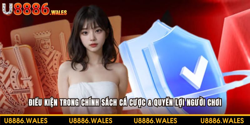 Khám phá quy định về quyền lợi người dùng hấp dẫn