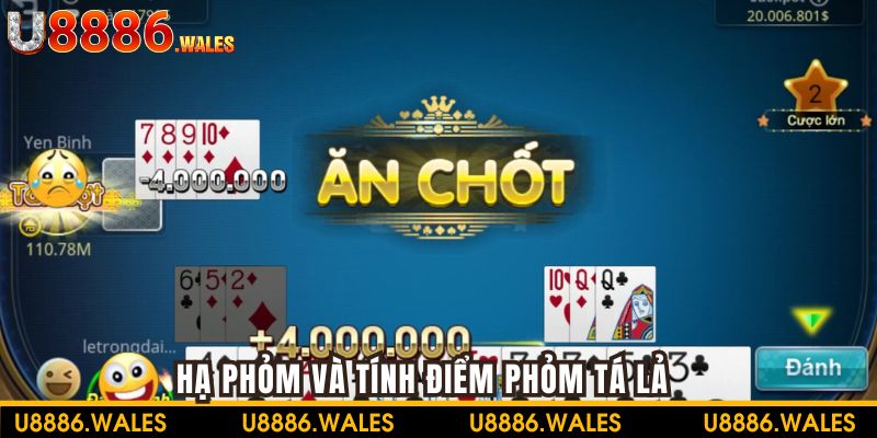 Sau khi hạ phỏm, hệ thống nhà cái tự động tính điểm cho người chơi