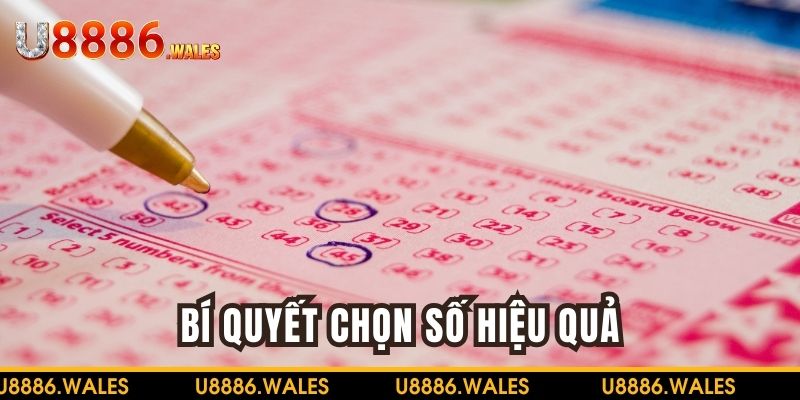 Các bí quyết chơi xổ số Mega hiệu quả