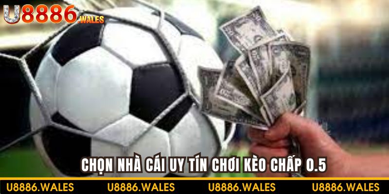 Lựa chọn nhà cái cá cược kèo chấp nửa trái uy tín