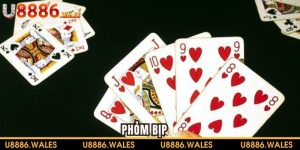 Phỏm Bịp Là Gì? Dấu Hiệu Để Nhận Biết Ra Và Cách Đối Phó
