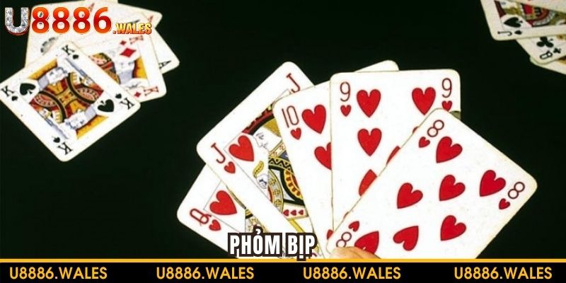 Phỏm Bịp Là Gì? Dấu Hiệu Để Nhận Biết Ra Và Cách Đối Phó